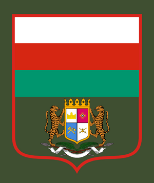 伊坦里卡人民軍陸軍-第007號命令臂章.png
