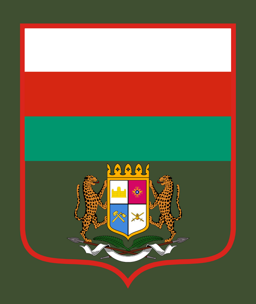 檔案:伊坦里卡人民軍陸軍-第007號命令臂章.png