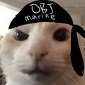 於 2025年5月17日 (六) 02:07 版本的縮圖