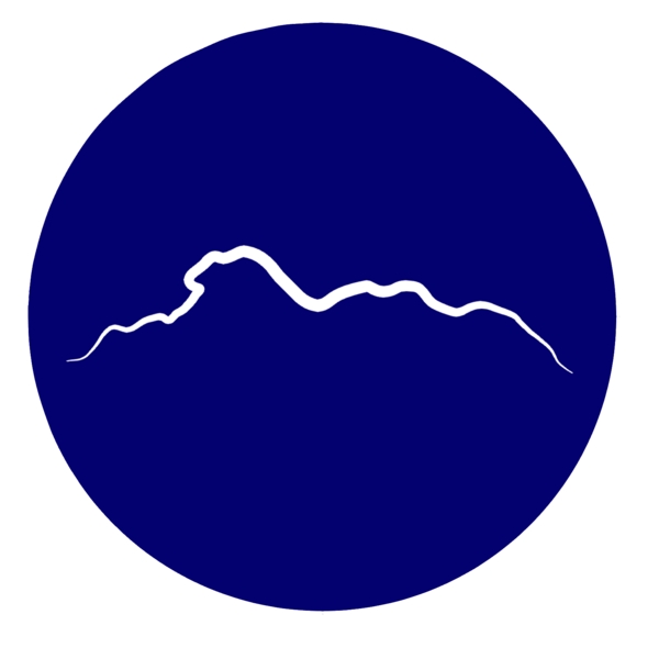 檔案:Emblem of LRMA.png