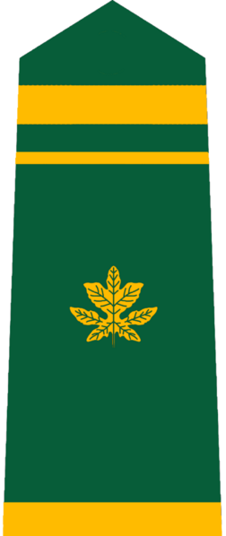 檔案:旗津國陸軍少校.png