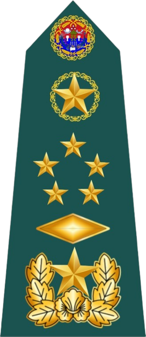 六星元帥.png
